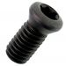Śruba M1,6x4 torx 12.9 (1-sztuka)